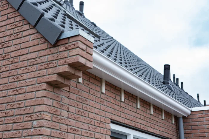 47 woningen, Dokkum dak