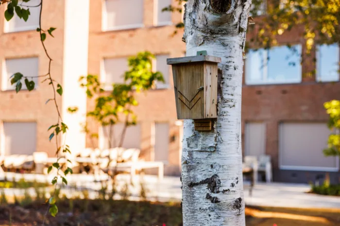Duurzaam bouwen Harste Sneek