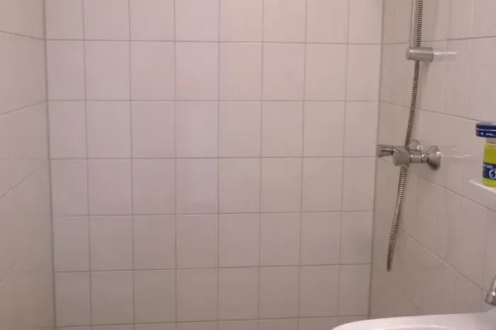 Groot onderhoud 150 woningen, Leek en Tolbert