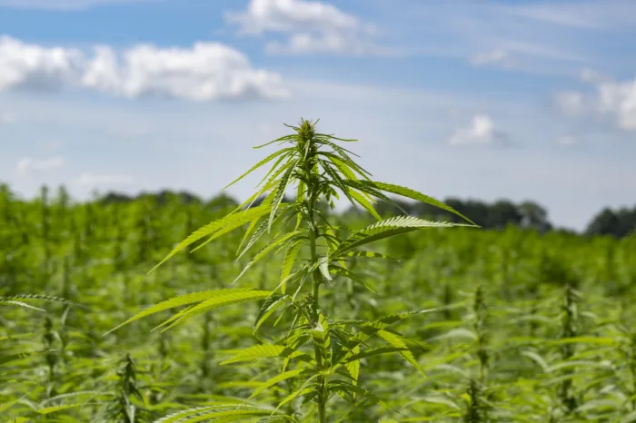 Duurzaamheid Jorritsma Bouw