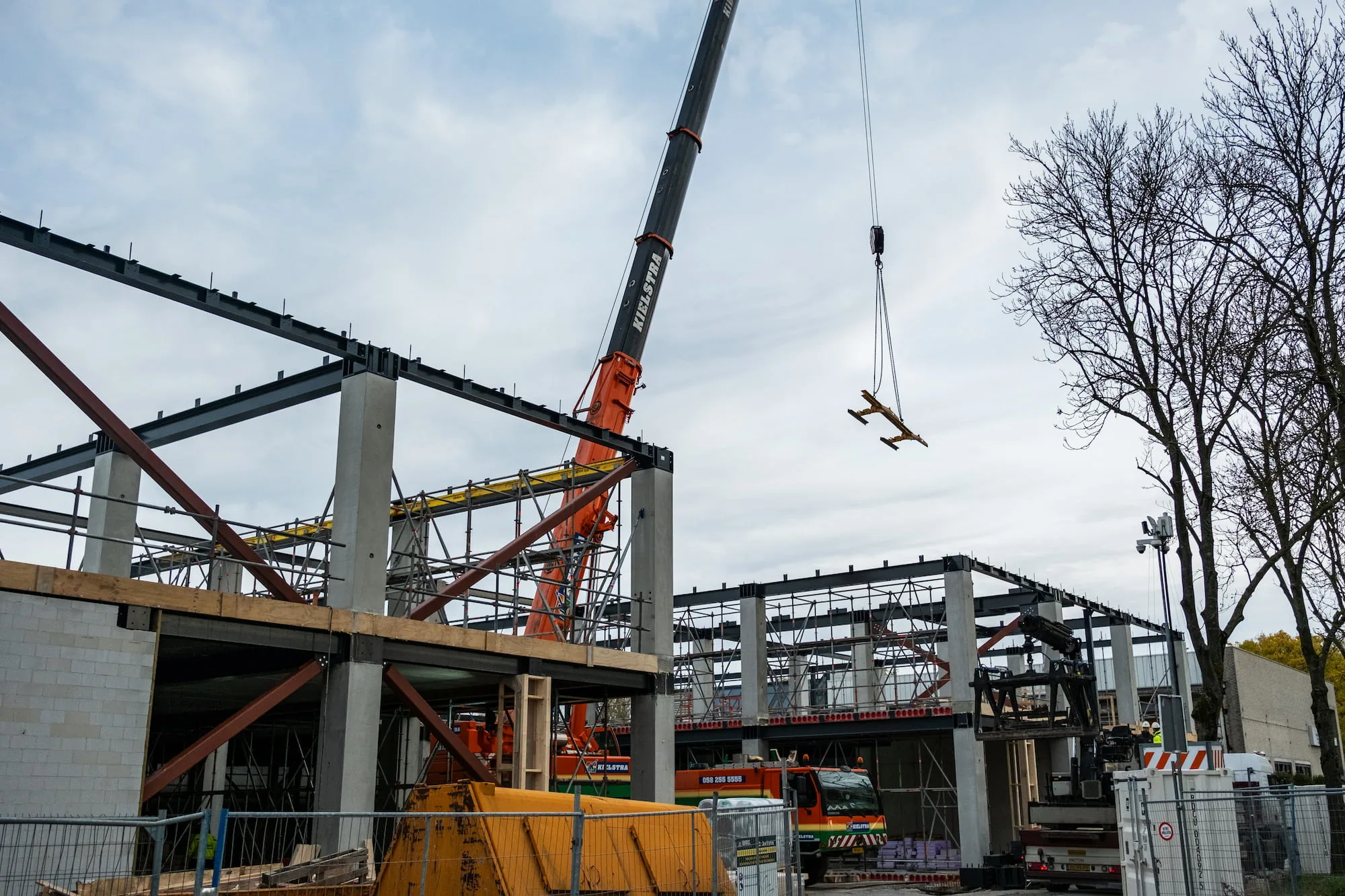 Hoogste punt paddepoel in Groningen